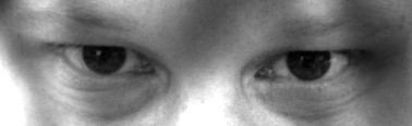 eyes Foto: eyes